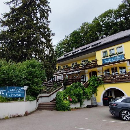 Austria Traveller Hotel Lenzing מראה חיצוני תמונה